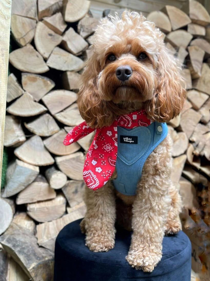 Red Hillbilly Neckerchief