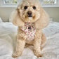 English Rose Dog Harness