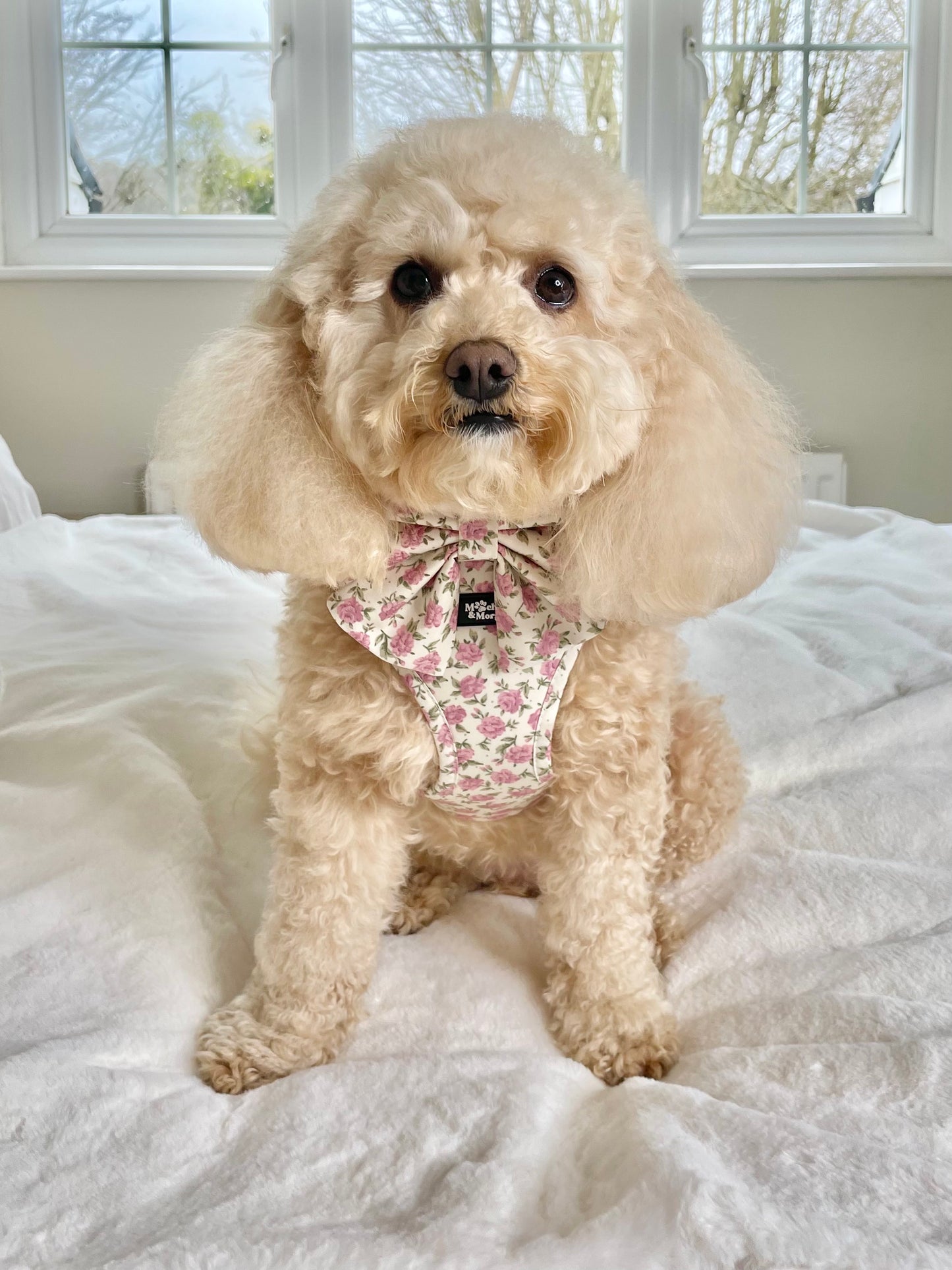 English Rose Dog Harness