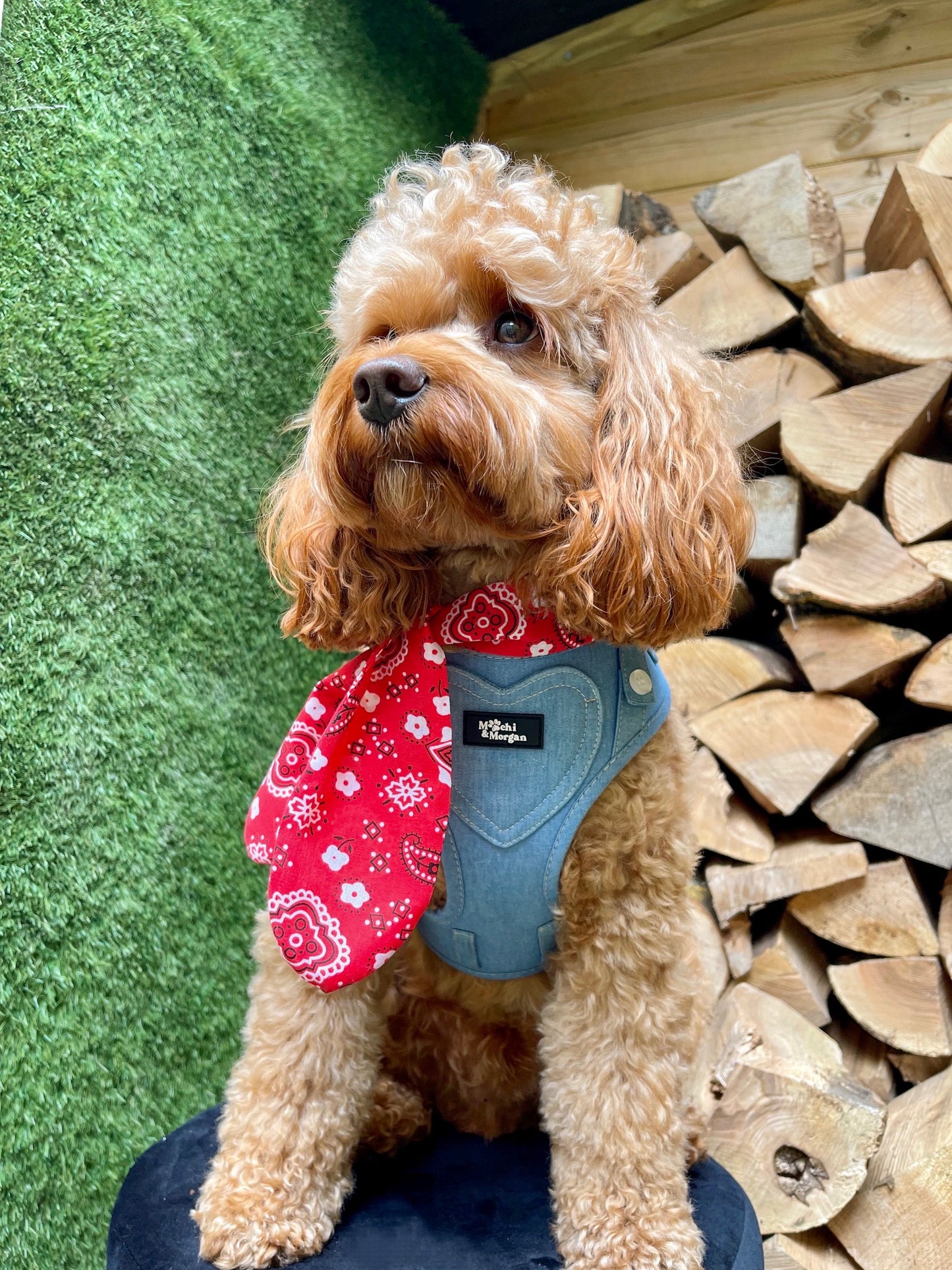 Red Hillbilly Neckerchief