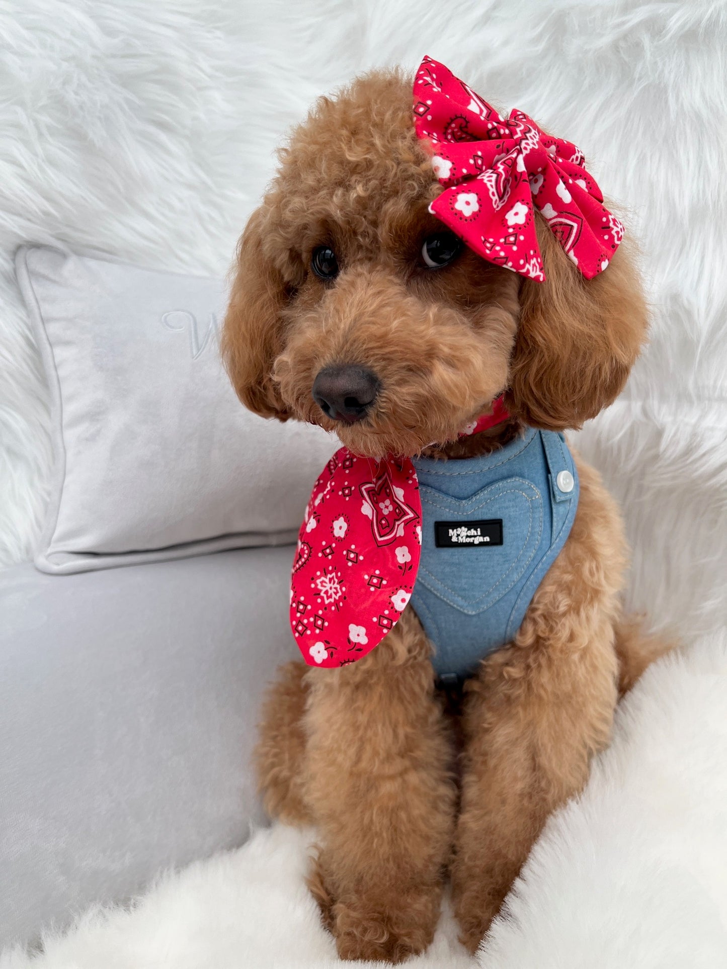 Red Hillbilly Neckerchief