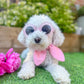 Pink Gingham Neckerchief