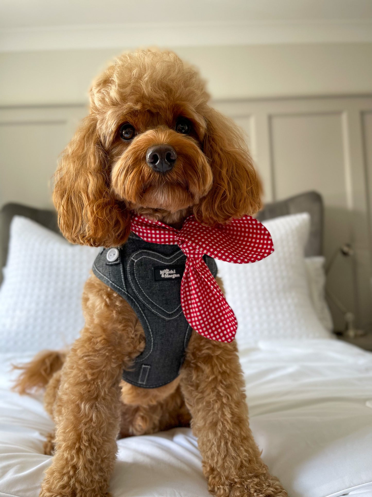 Red Gingham Neckerchief