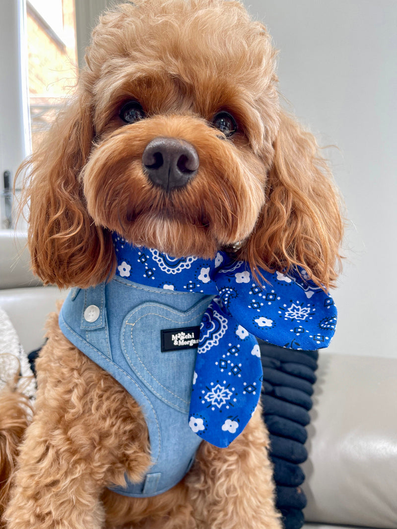 Blue Hillbilly Neckerchief