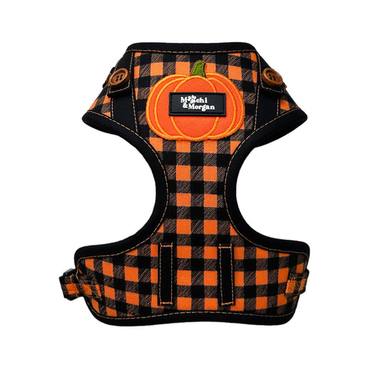 Pumpkin Patch Budster Dog Harness