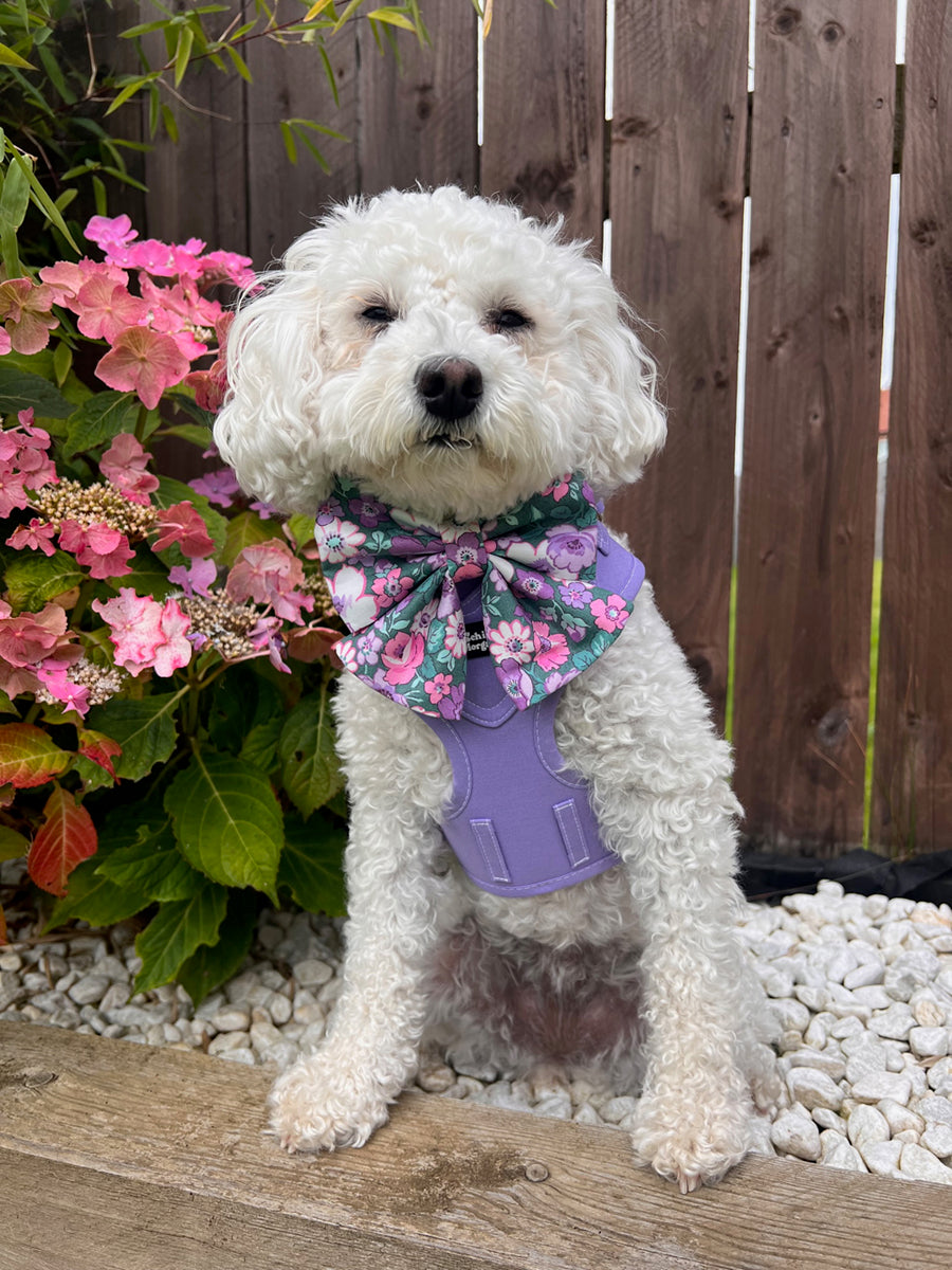 Lilac Budster Dog Harness