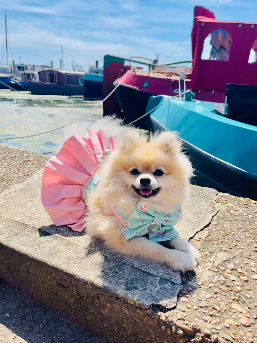 Pink Pawfection Sailor Bow