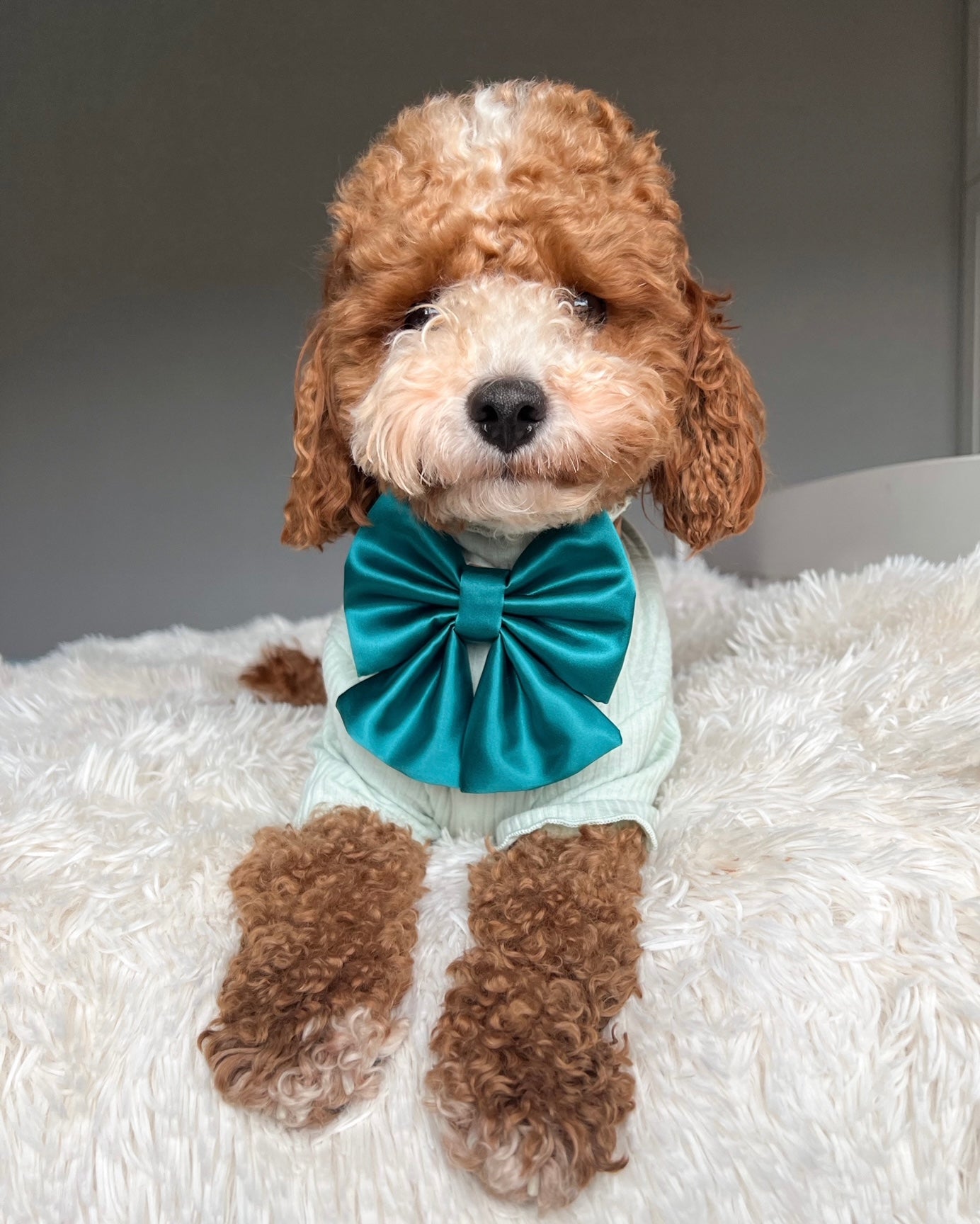 Teal Sailor Bow